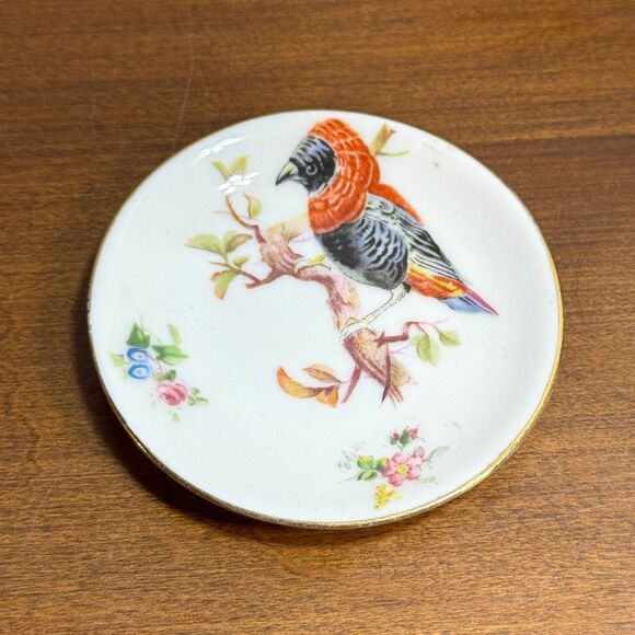 Vintage Royal Doulton Butter Pat Plate Trinket Dish Bird 3 inches Gouldian Finch - Picture 1 of 4